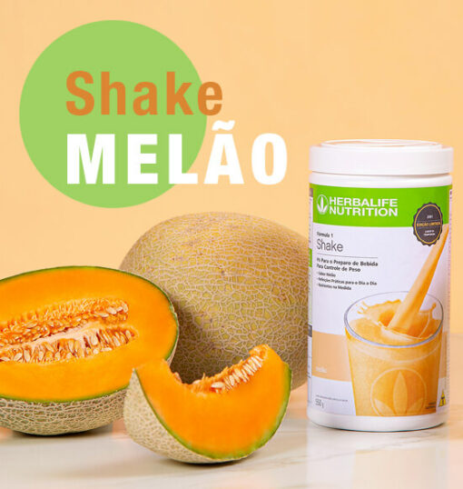 NOVIDADE SHAKE MELÃO