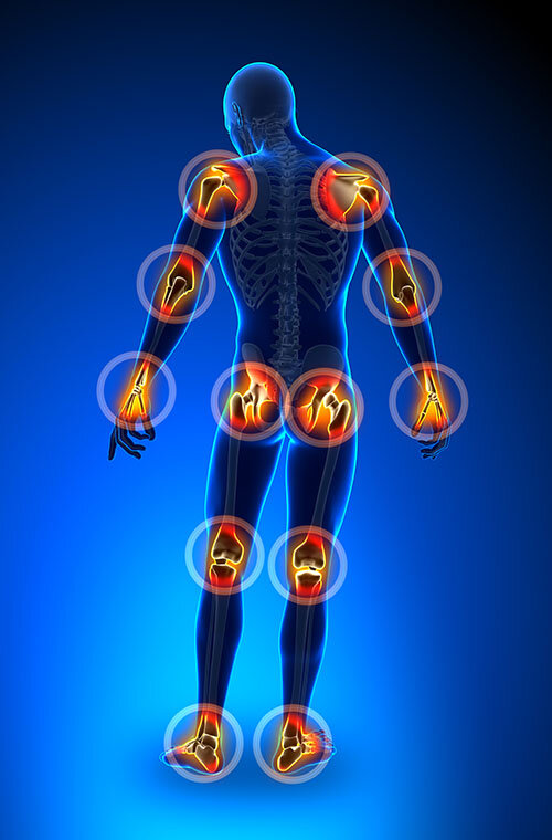 articulacoes.pt corpo