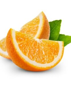 1x1 300x300 wild orange botanical us english web