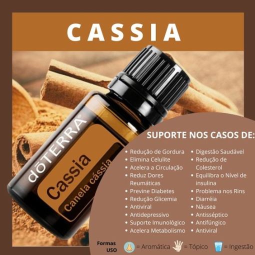 Oleo Essencial Cassia Doterra (Canela Cassia 5ml) 2 Oleo Essencial Cassia Doterra (Canela Cassia 5ml) - Imagem 2