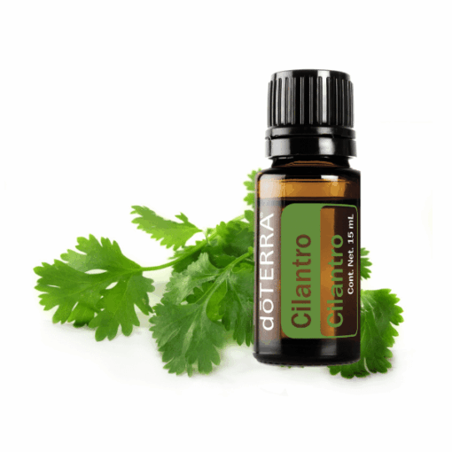 Oleo Essencial Cilantro Doterra (Coentro 15ml)