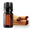 doterra cinnamon 500x500 1