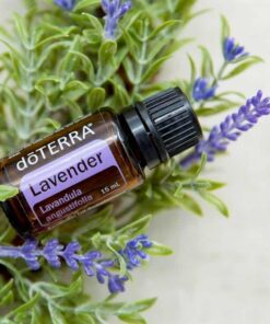 lavanda oleo doterra
