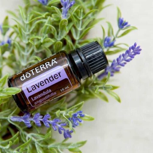 Oleo Essencial Lavanda Doterra (Lavander 15ml) - Imagem 3